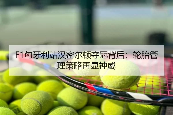 F1匈牙利站汉密尔顿夺冠背后：轮胎管理策略再显神威